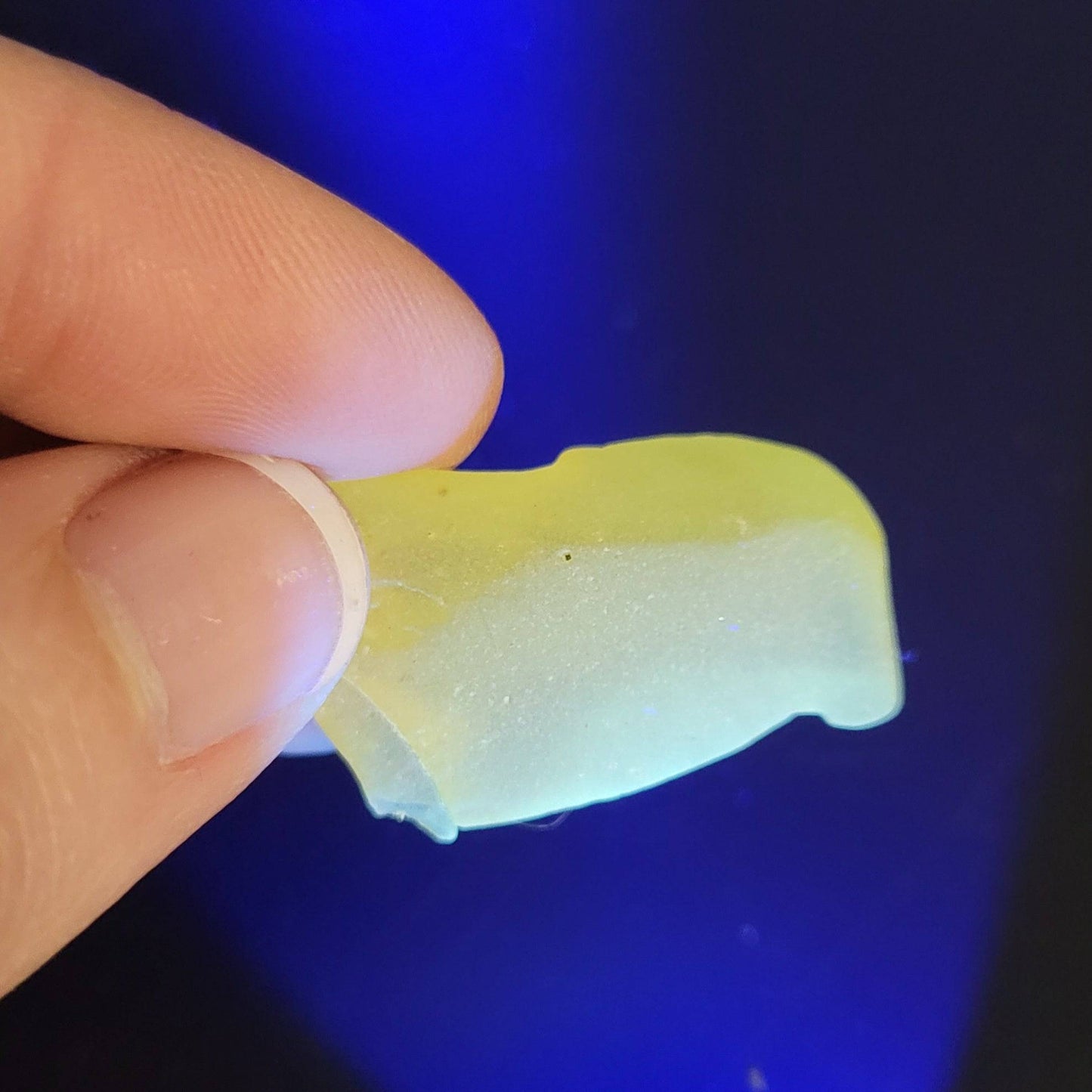 Amber (UV Reactive)