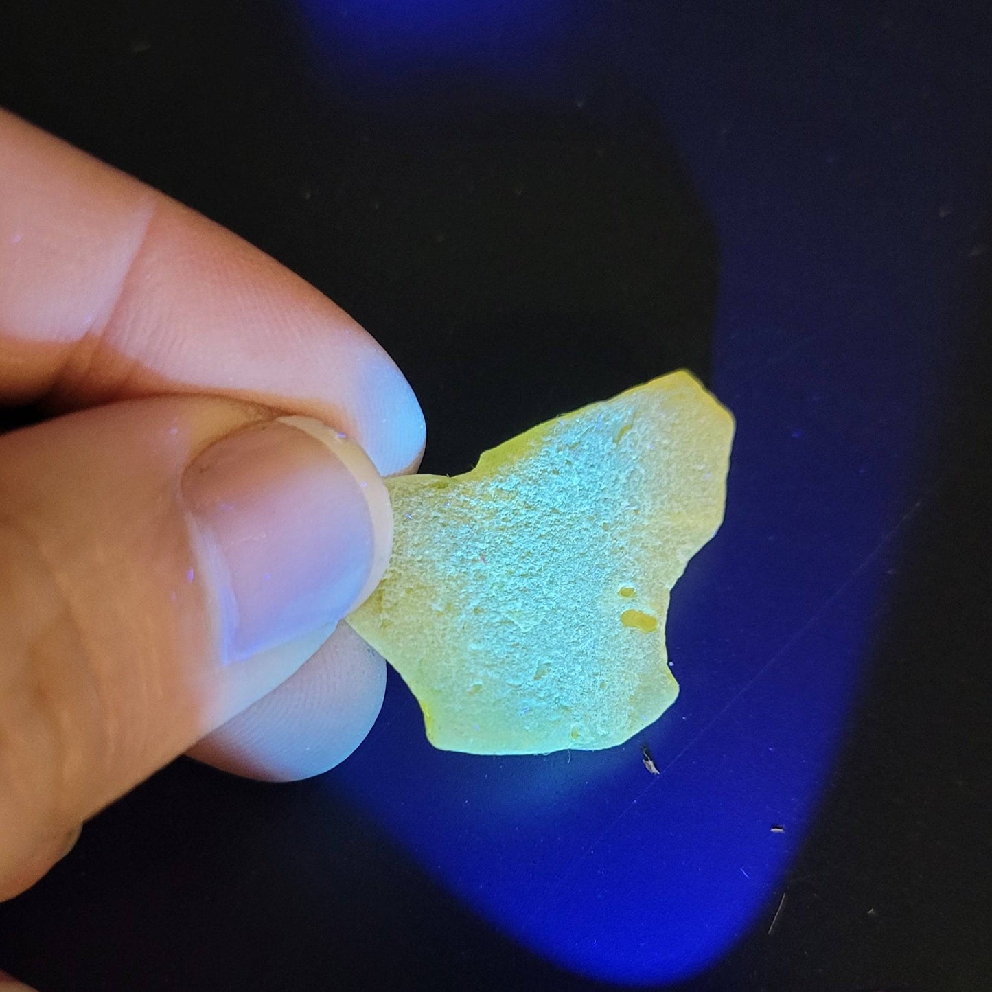 Amber (UV Reactive)