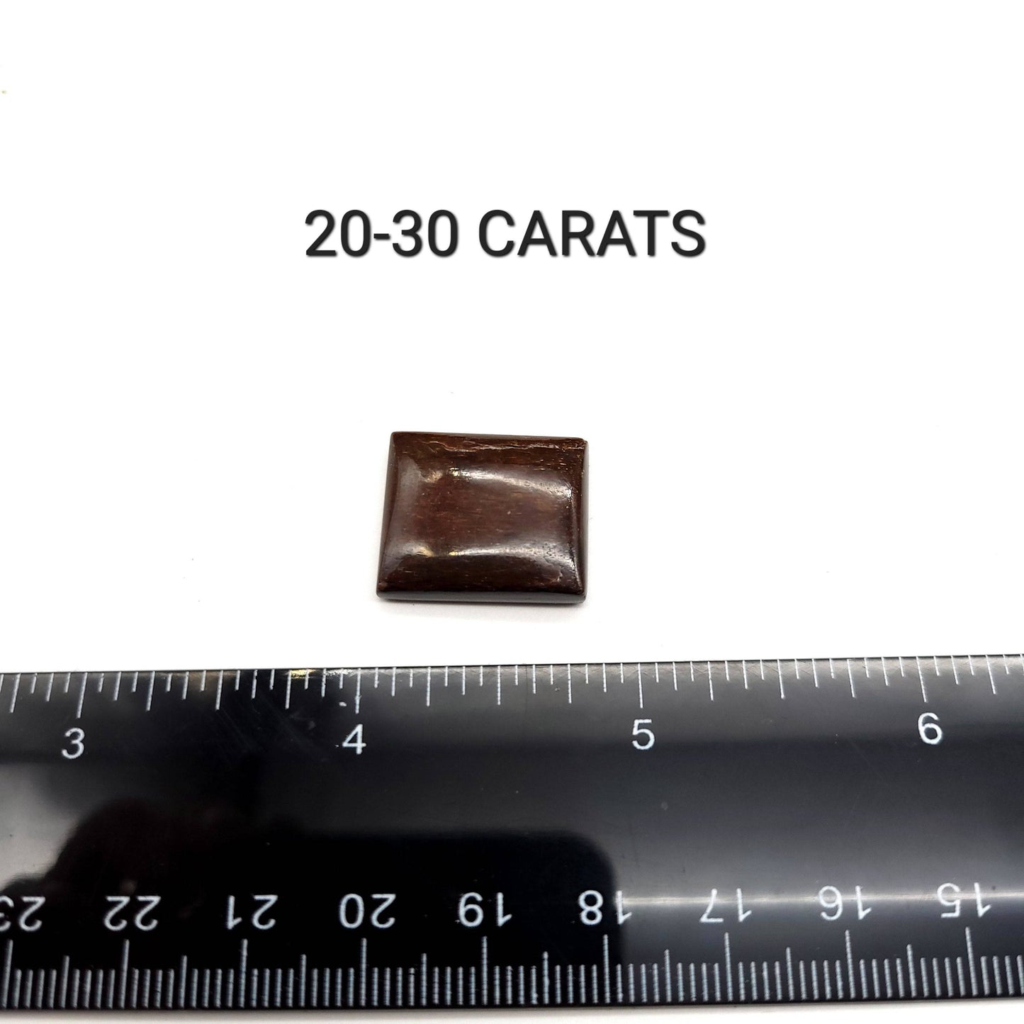 Dinosaur Bone Cabochon - Retangle