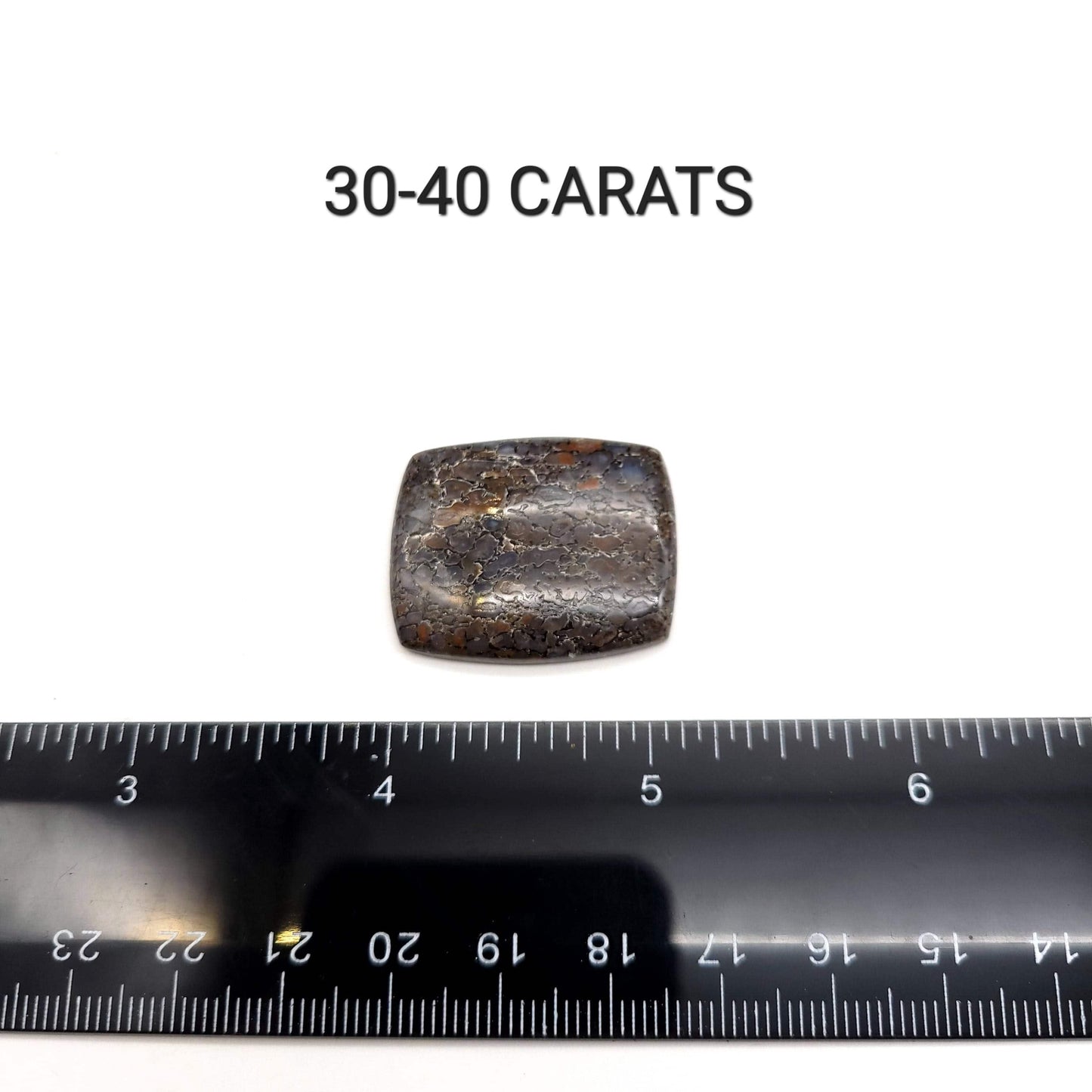 Dinosaur Bone Cabochon - Retangle