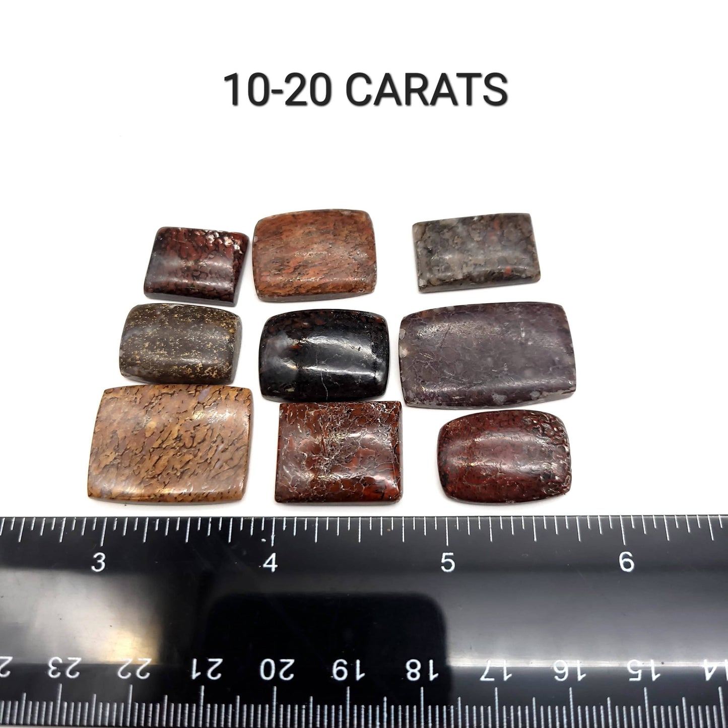 Dinosaur Bone Cabochon - Retangle