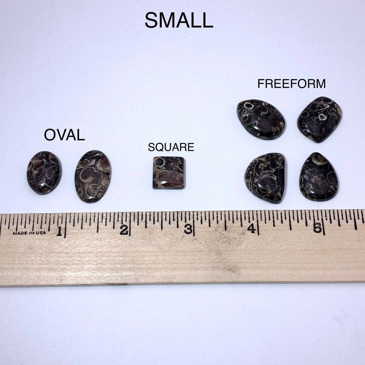Turritella Agate Cabochon - Funky Stuff