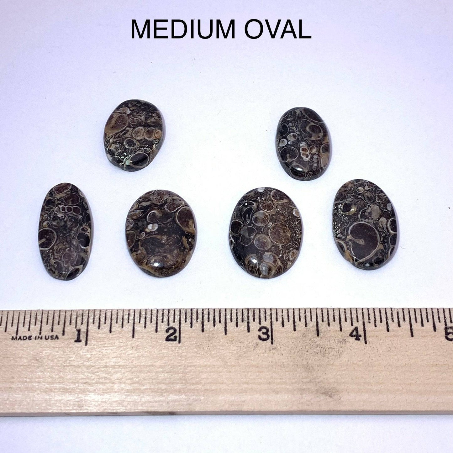 Turritella Agate Cabochon - Funky Stuff