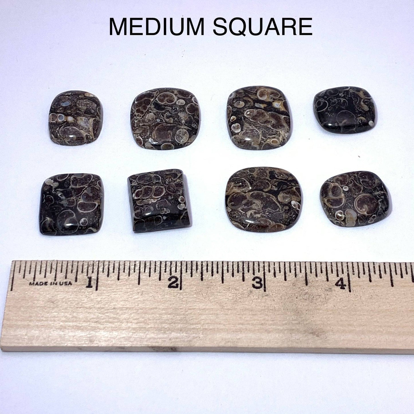 Turritella Agate Cabochon - Funky Stuff