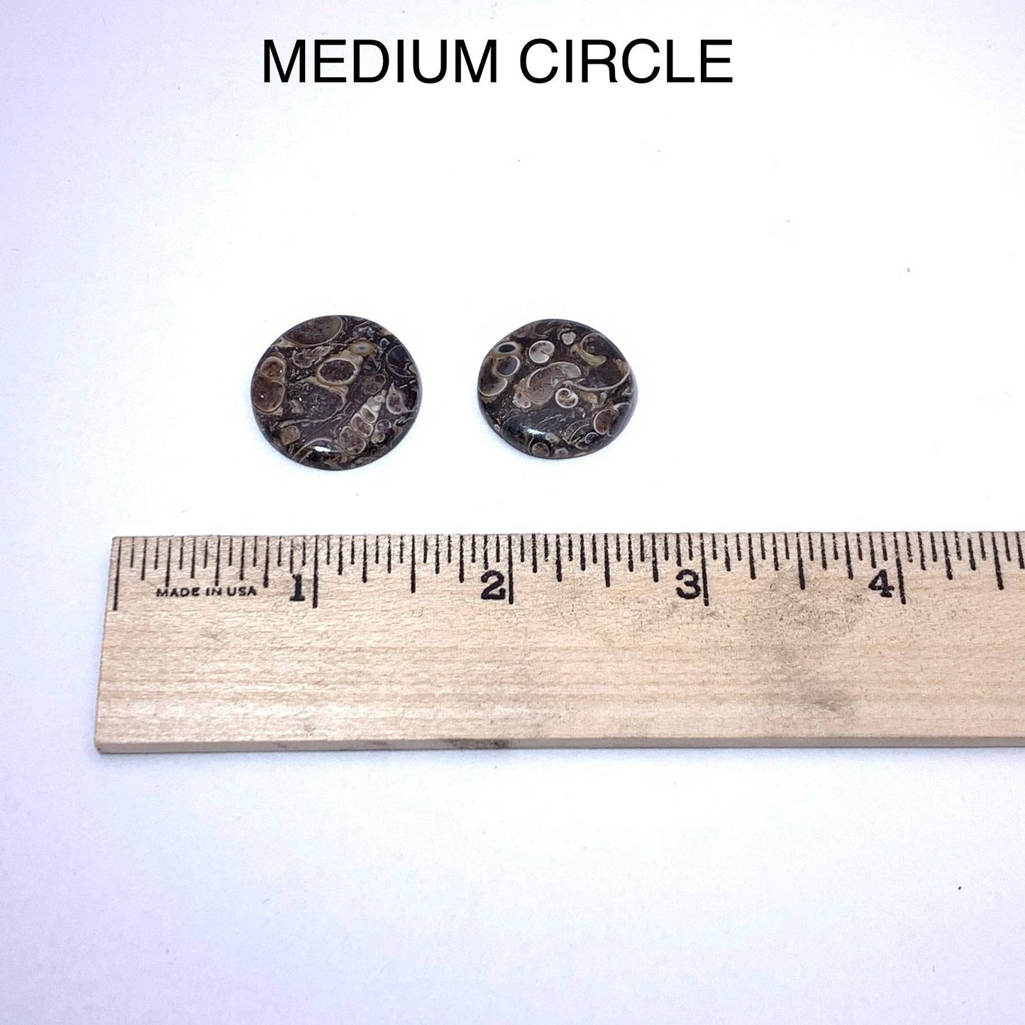 Turritella Agate Cabochon - Funky Stuff