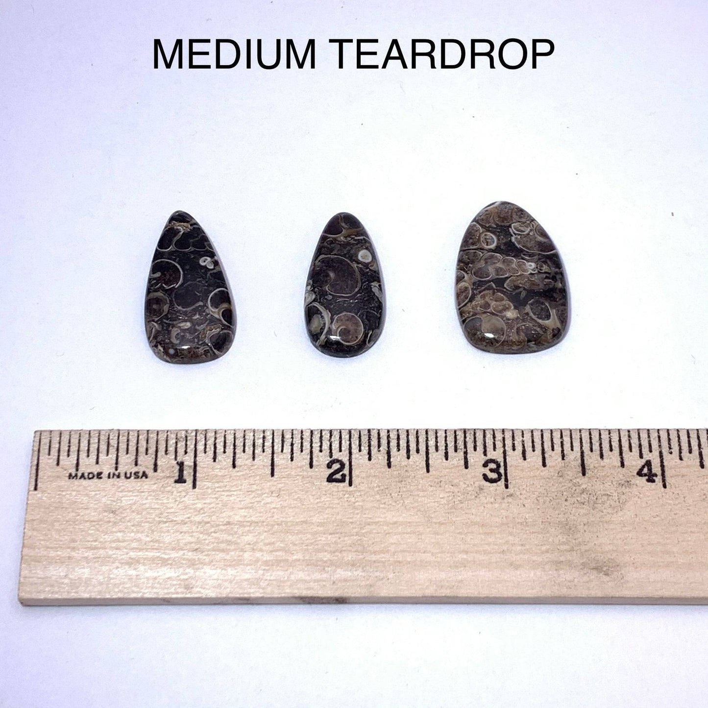 Turritella Agate Cabochon - Funky Stuff