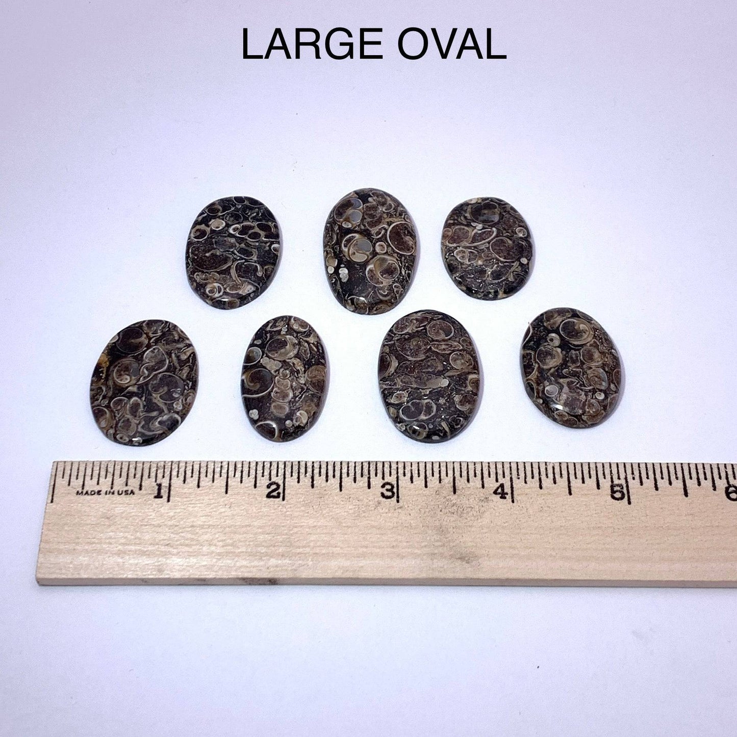 Turritella Agate Cabochon - Funky Stuff