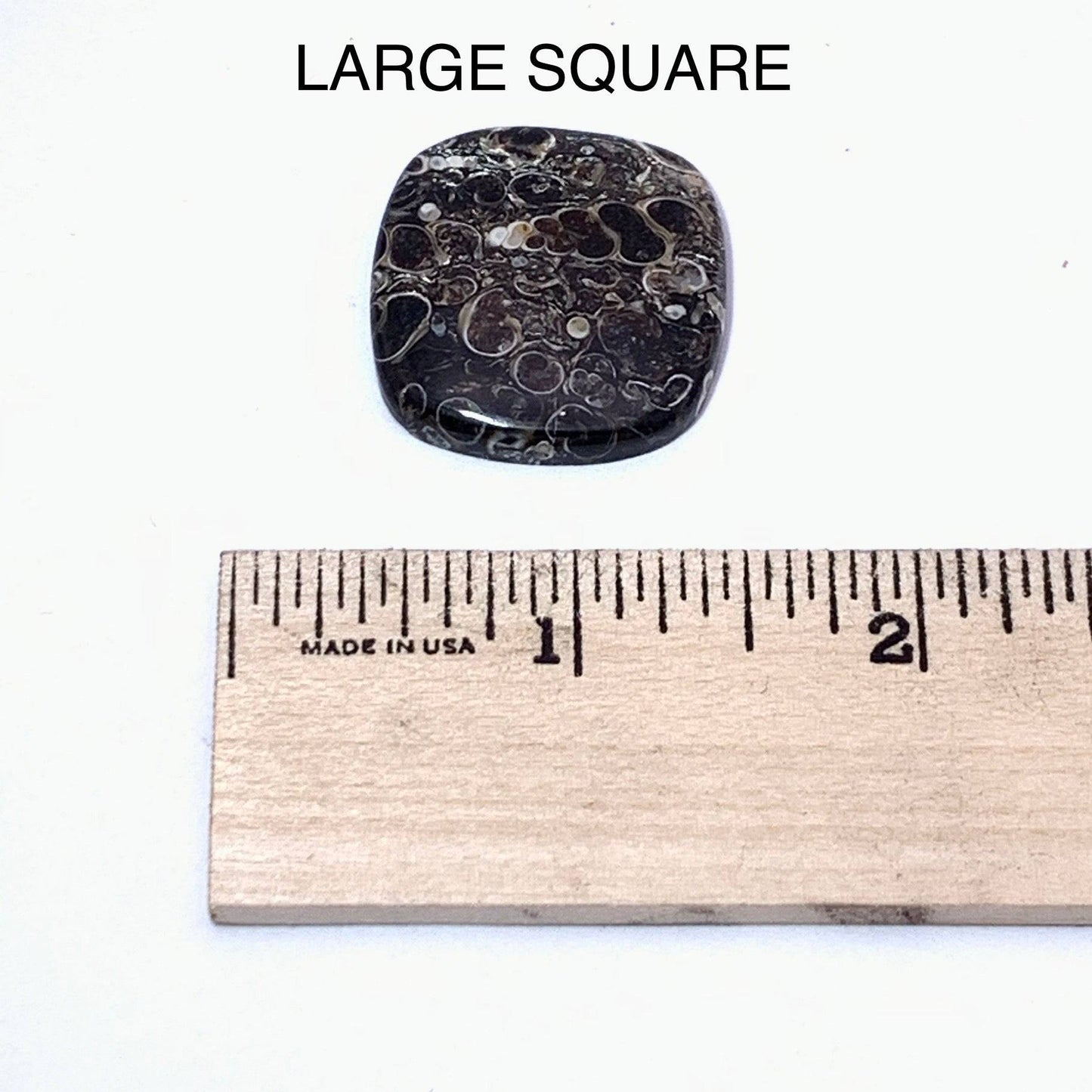 Turritella Agate Cabochon - Funky Stuff
