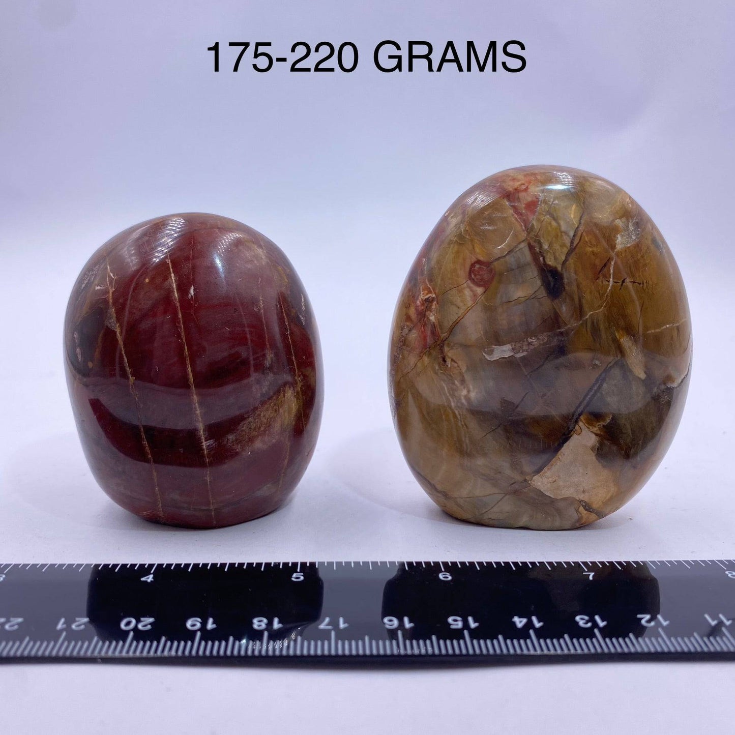 Petrified Wood Freeform