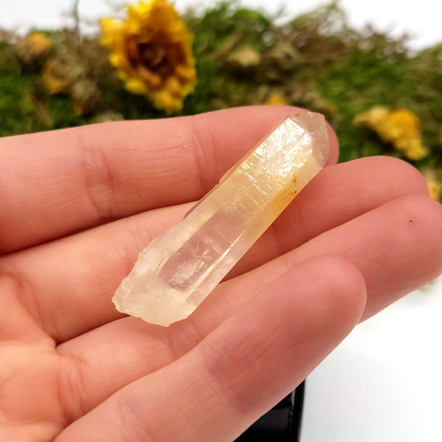 Quartz with Halloysite Inclusions (Boxed Specimen) - Funky Stuff