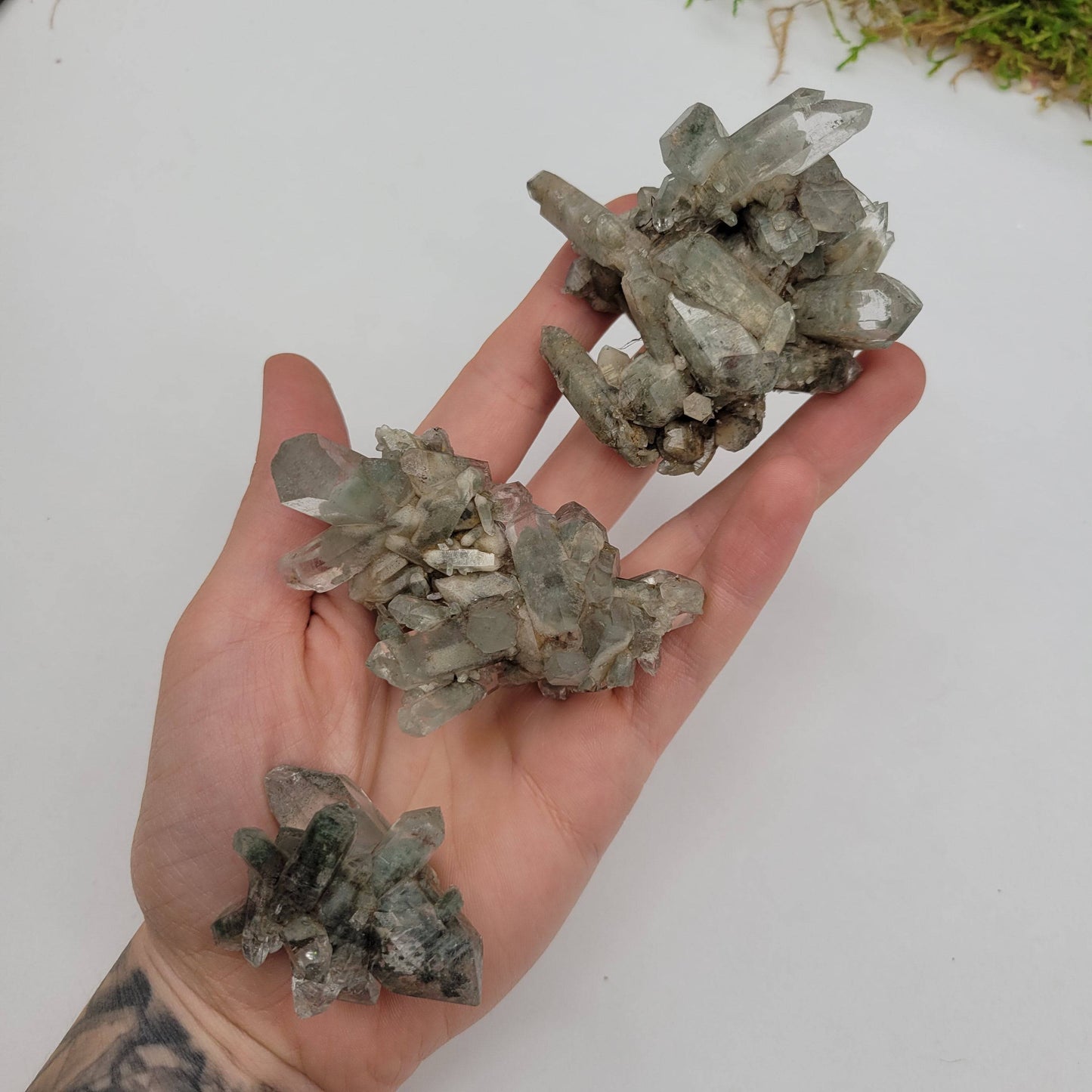 Himalayan Chlorite Included Quartz