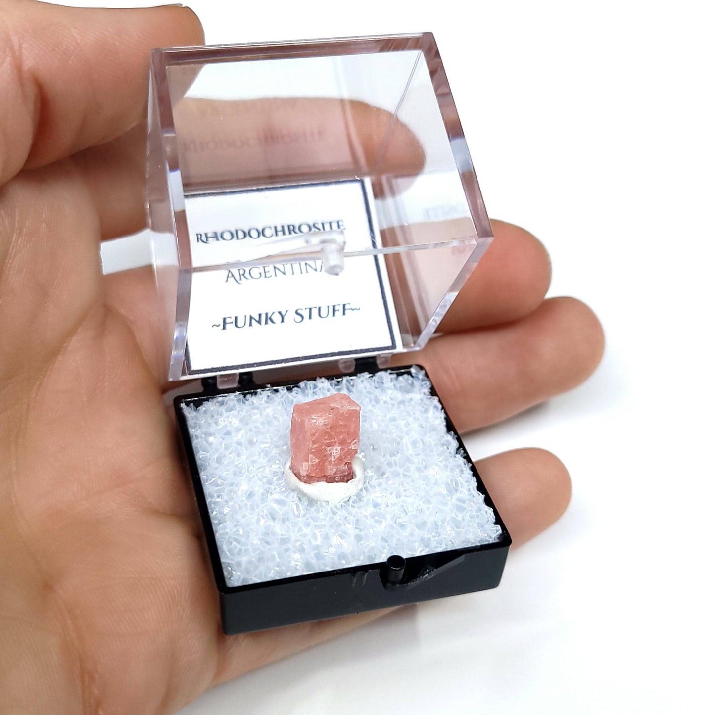 Rhodochrosite Thumbnail Case Specimen