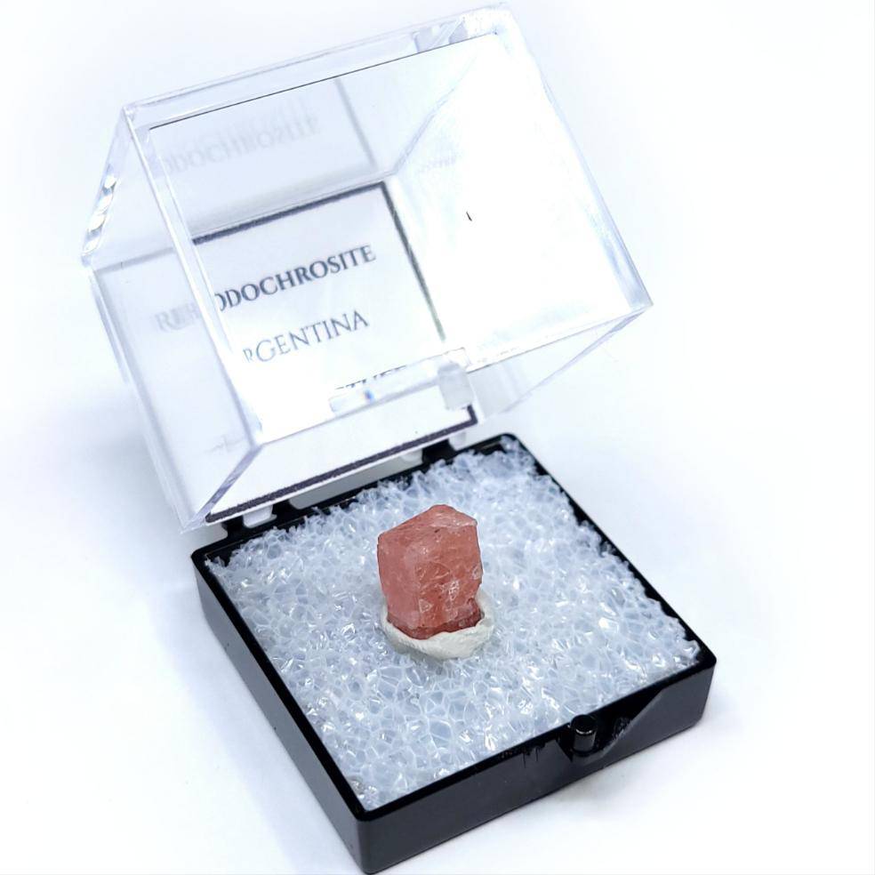 Rhodochrosite Thumbnail Case Specimen