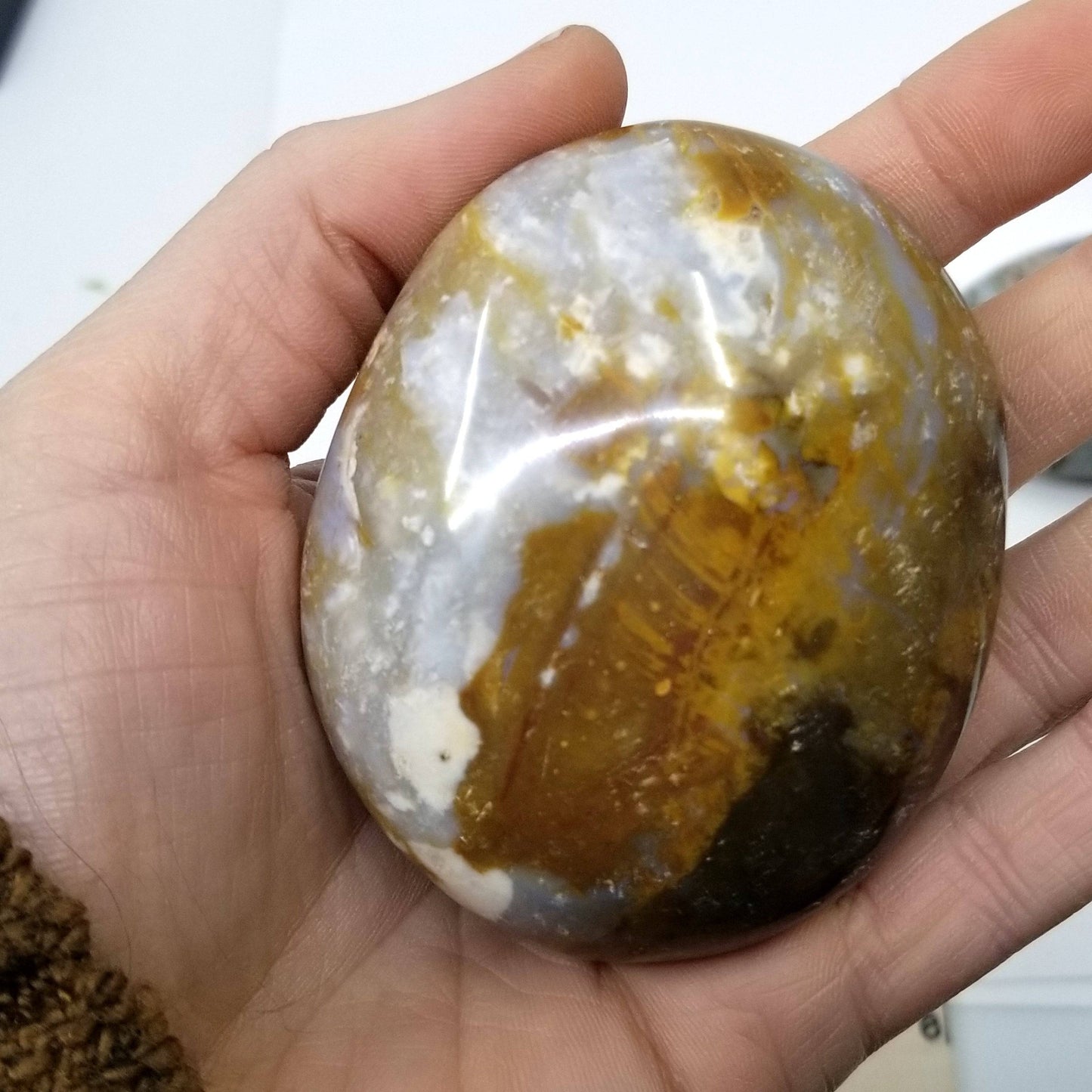 Ocean Jasper Palmstone