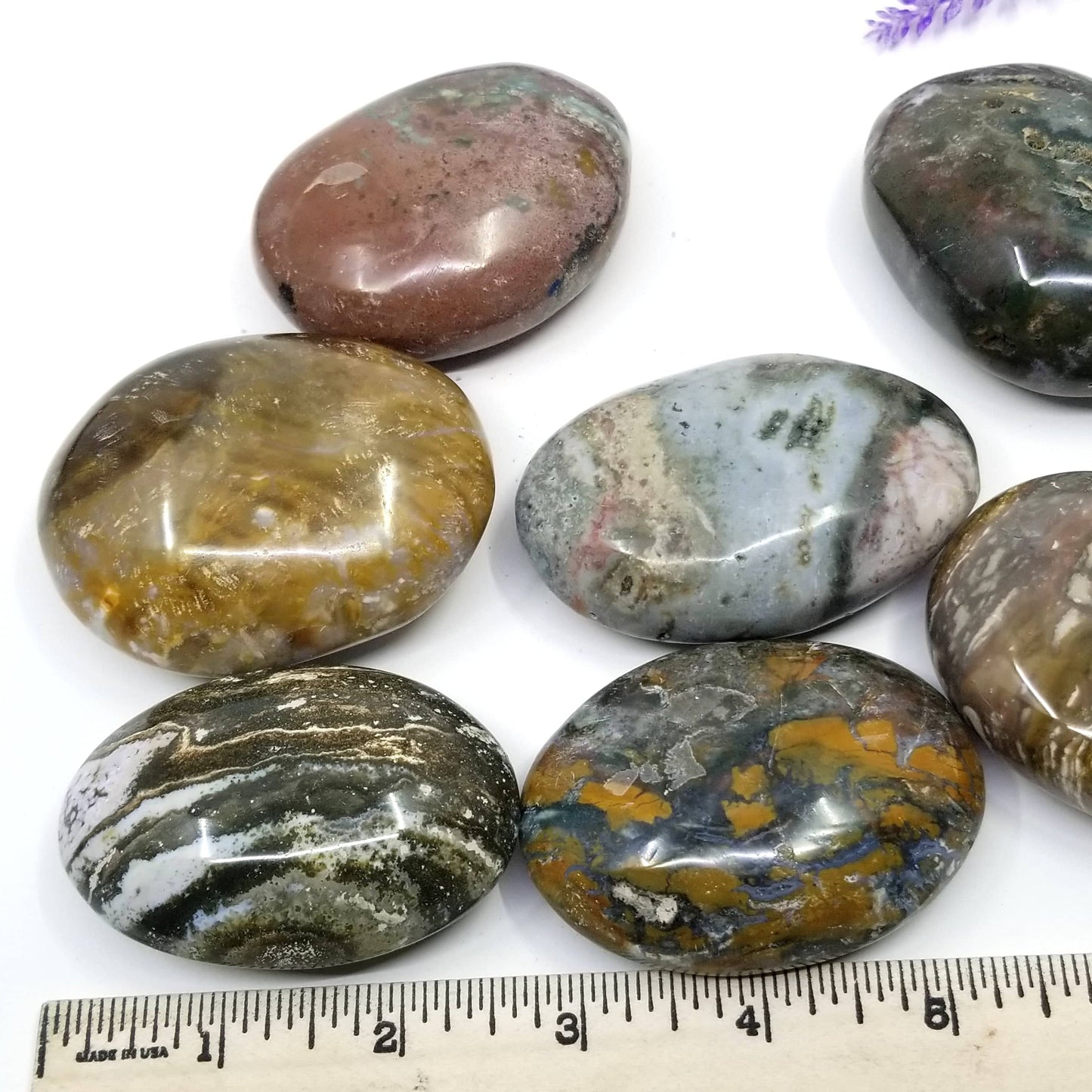 Ocean Jasper Palmstone