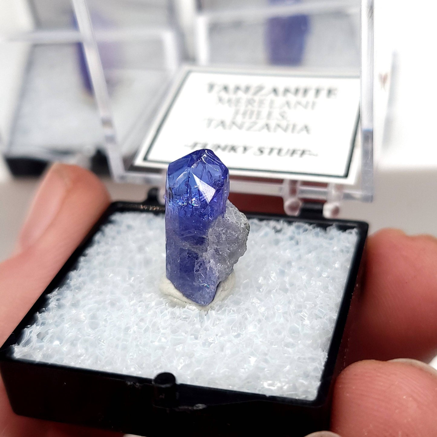 Tanzanite (Thumbnail Case Specimen)