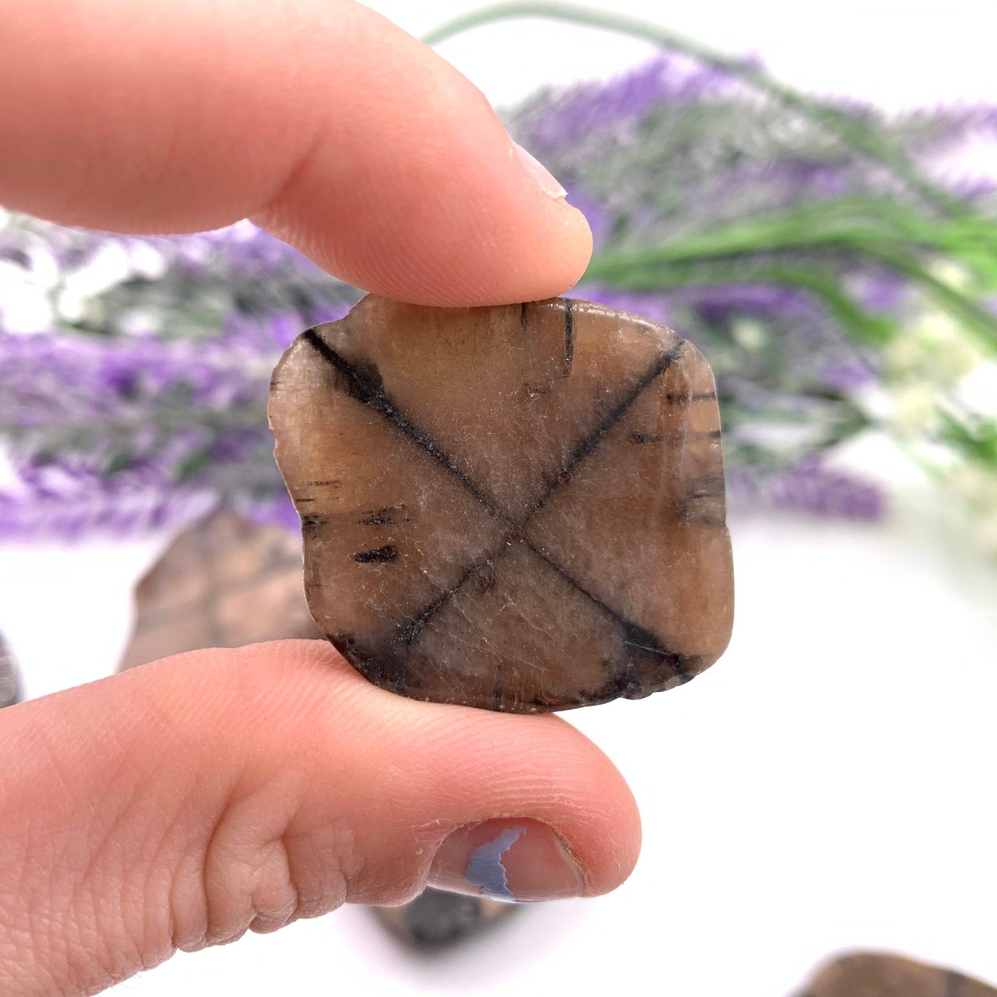 Chiastolite - Funky Stuff
