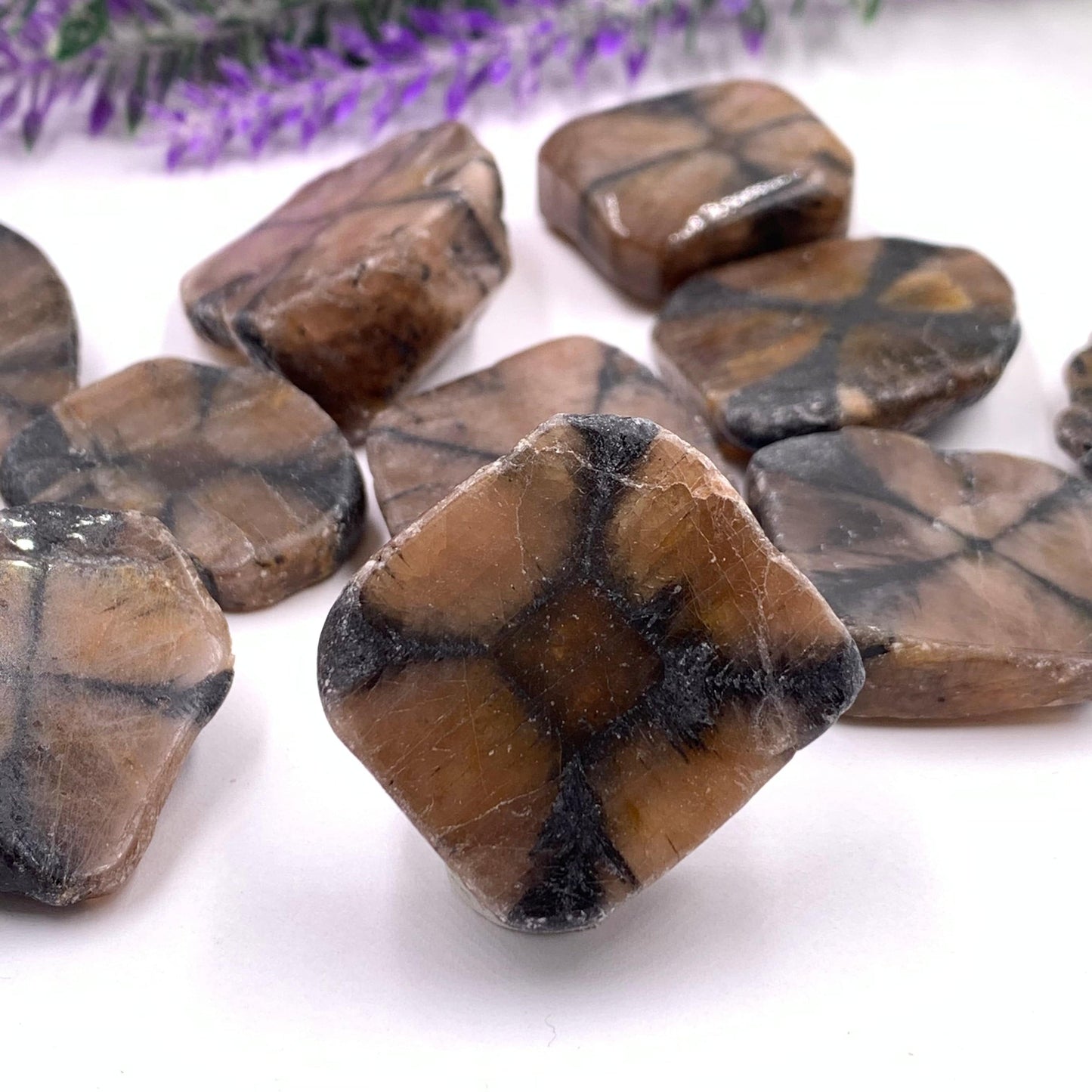 Chiastolite - Funky Stuff