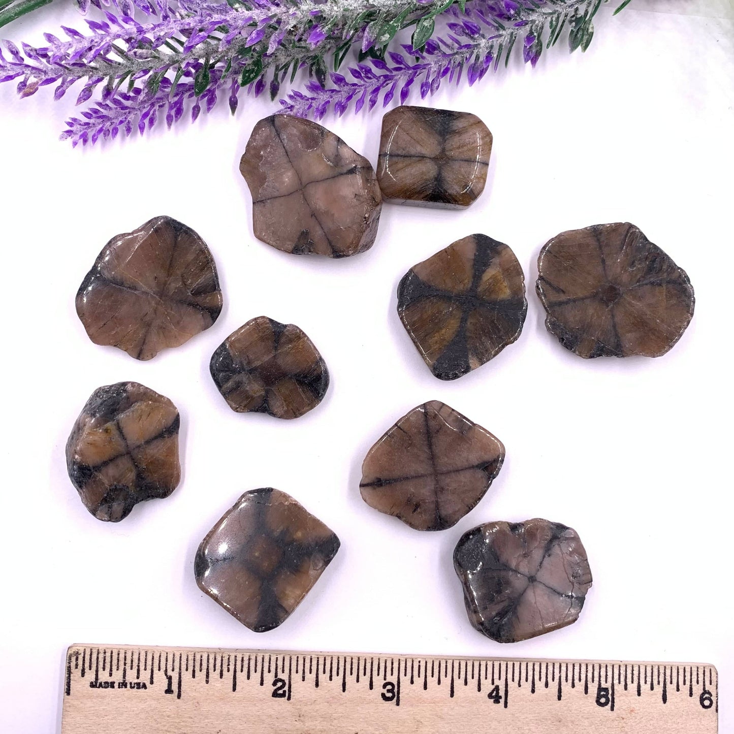 Chiastolite - Funky Stuff