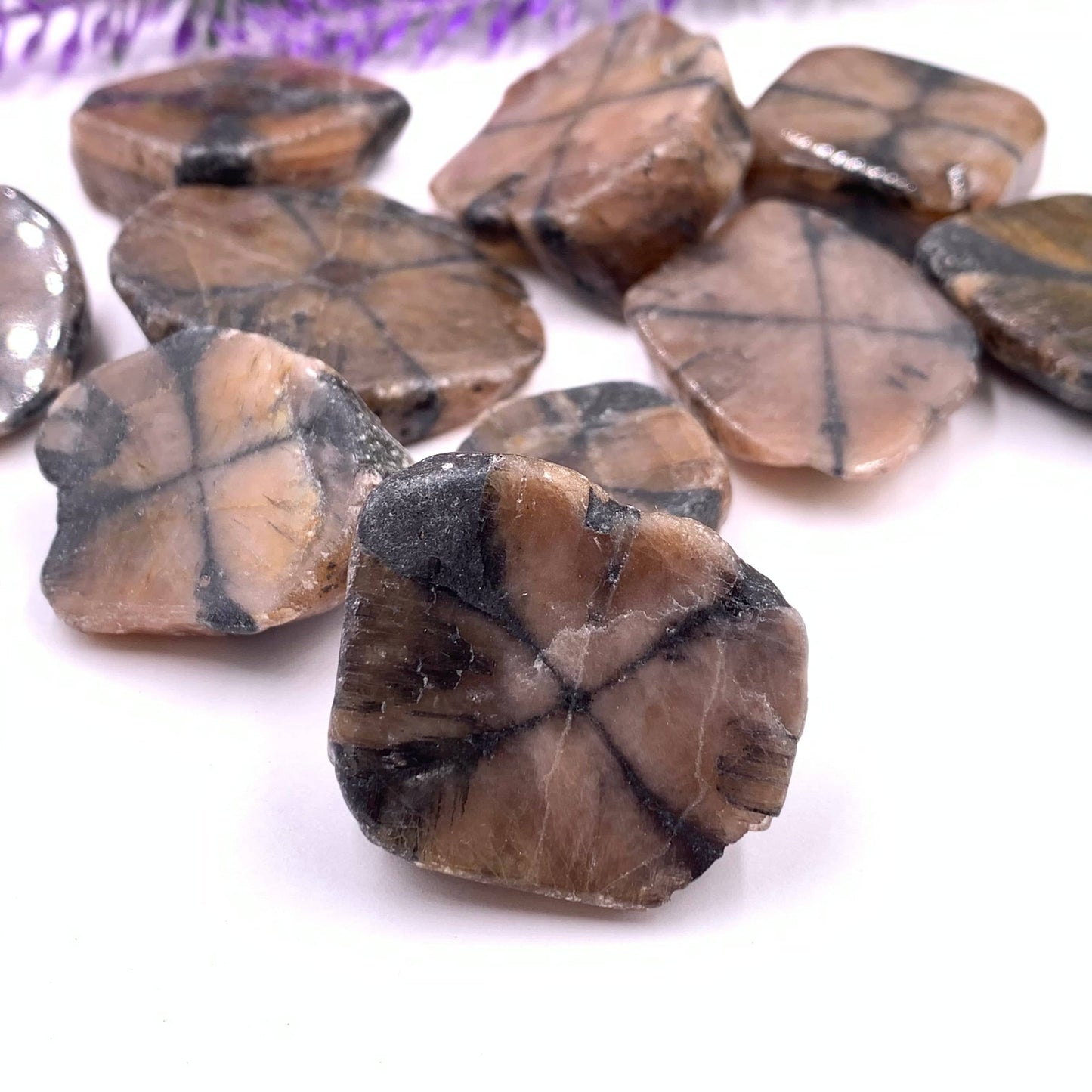 Chiastolite - Funky Stuff