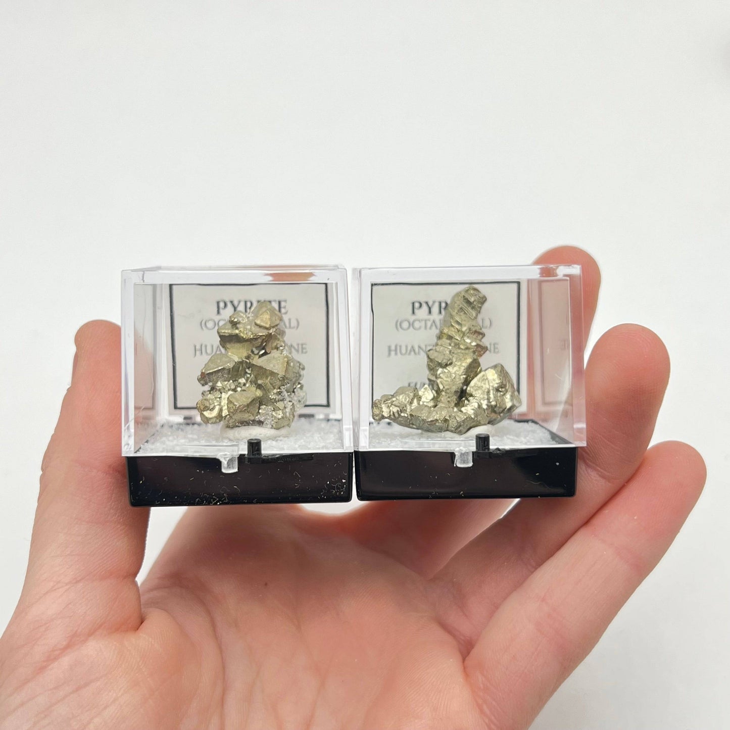 Octahedral Pyrite (Thumbnail Case Specimen)