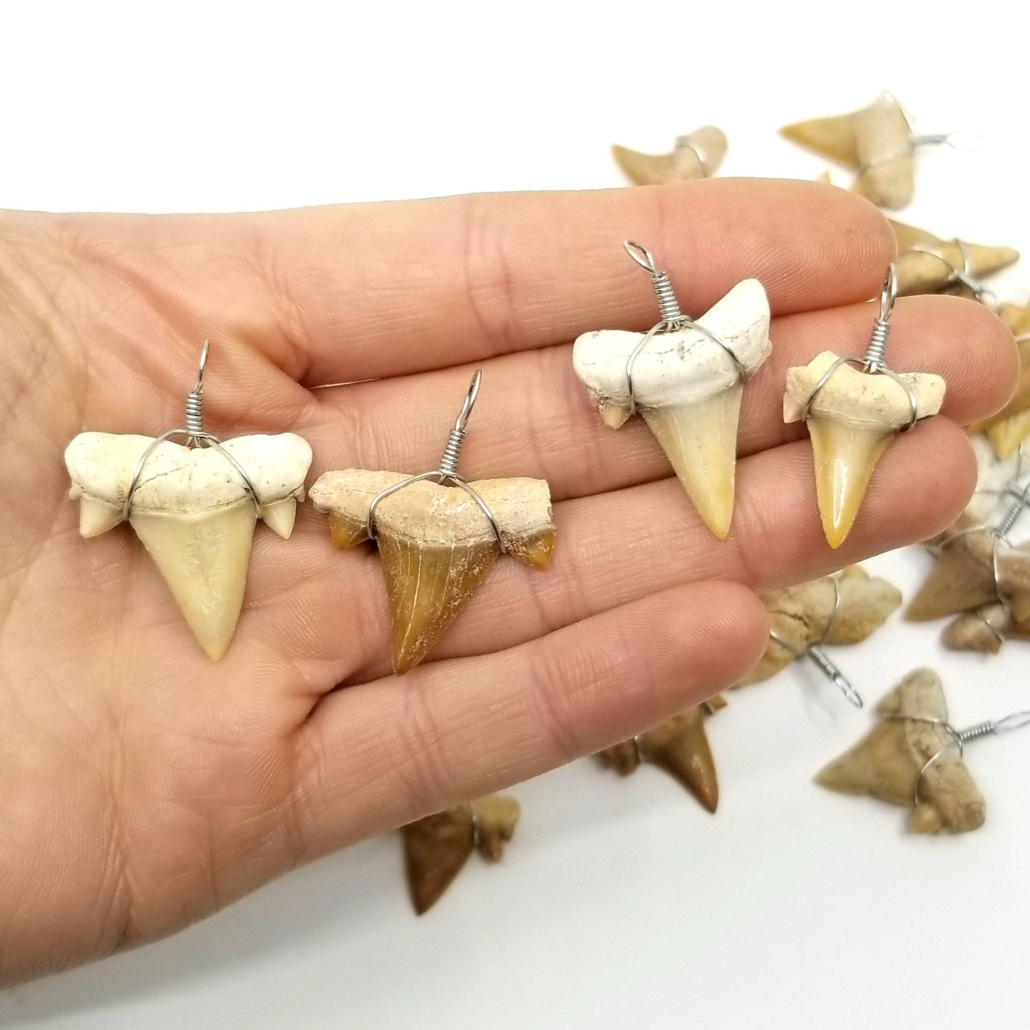 Shark Tooth Pendant - Funky Stuff