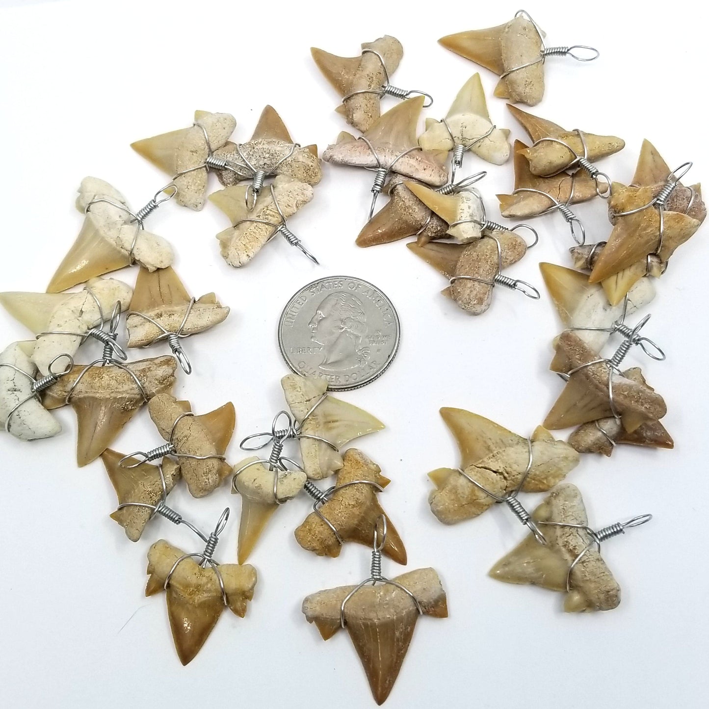 Shark Tooth Pendant - Funky Stuff