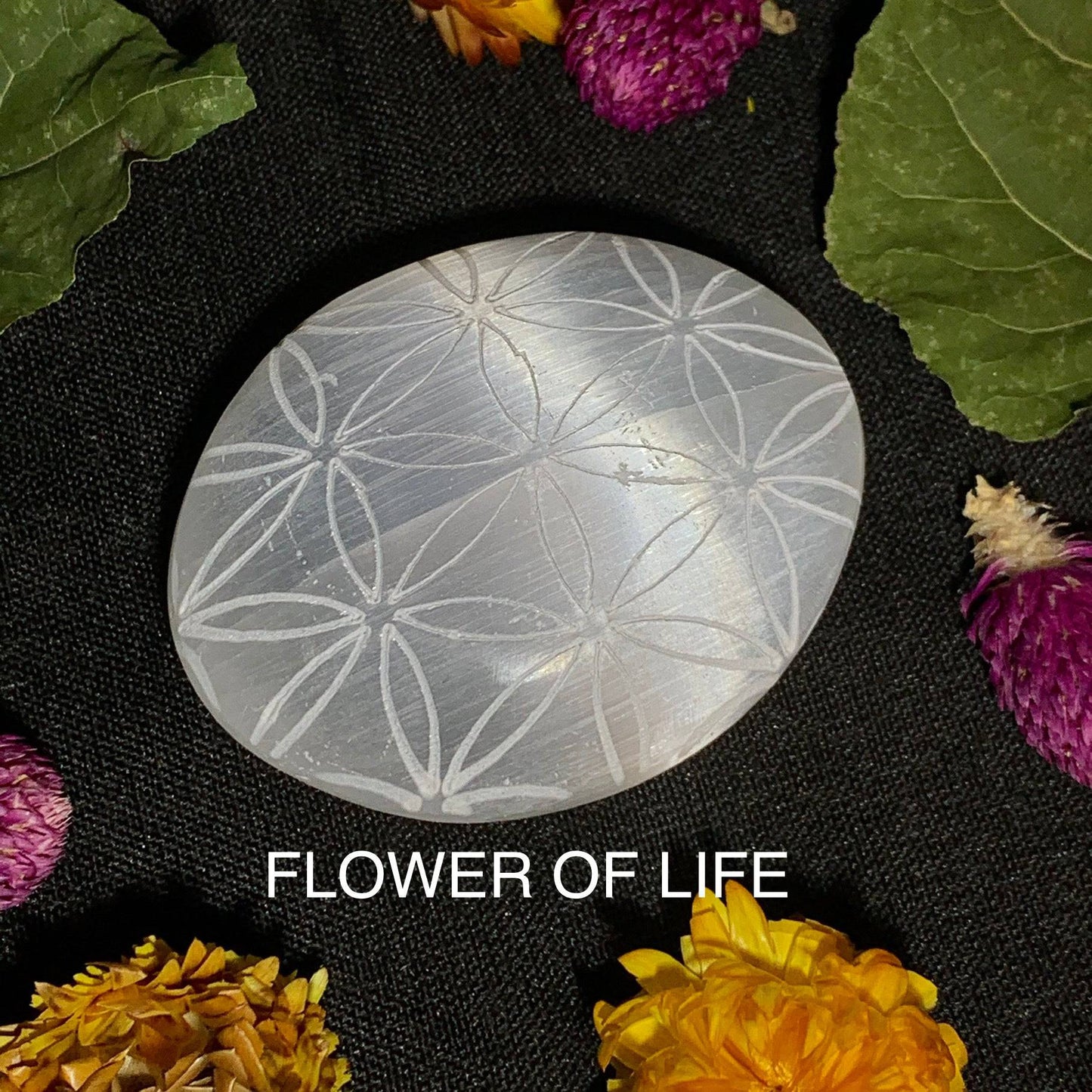 Engraved Selenite Palmstone - Funky Stuff