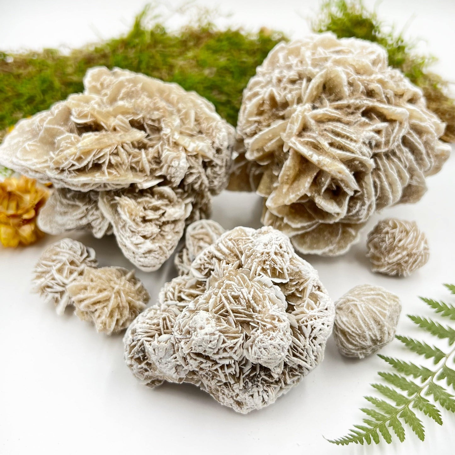 Gypsum Desert Rose