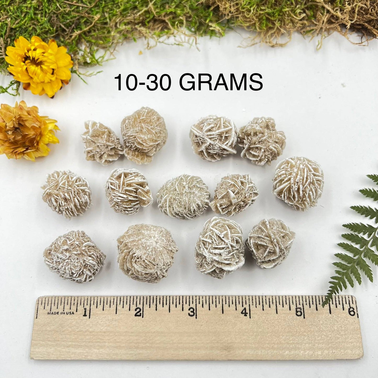 Gypsum Desert Rose
