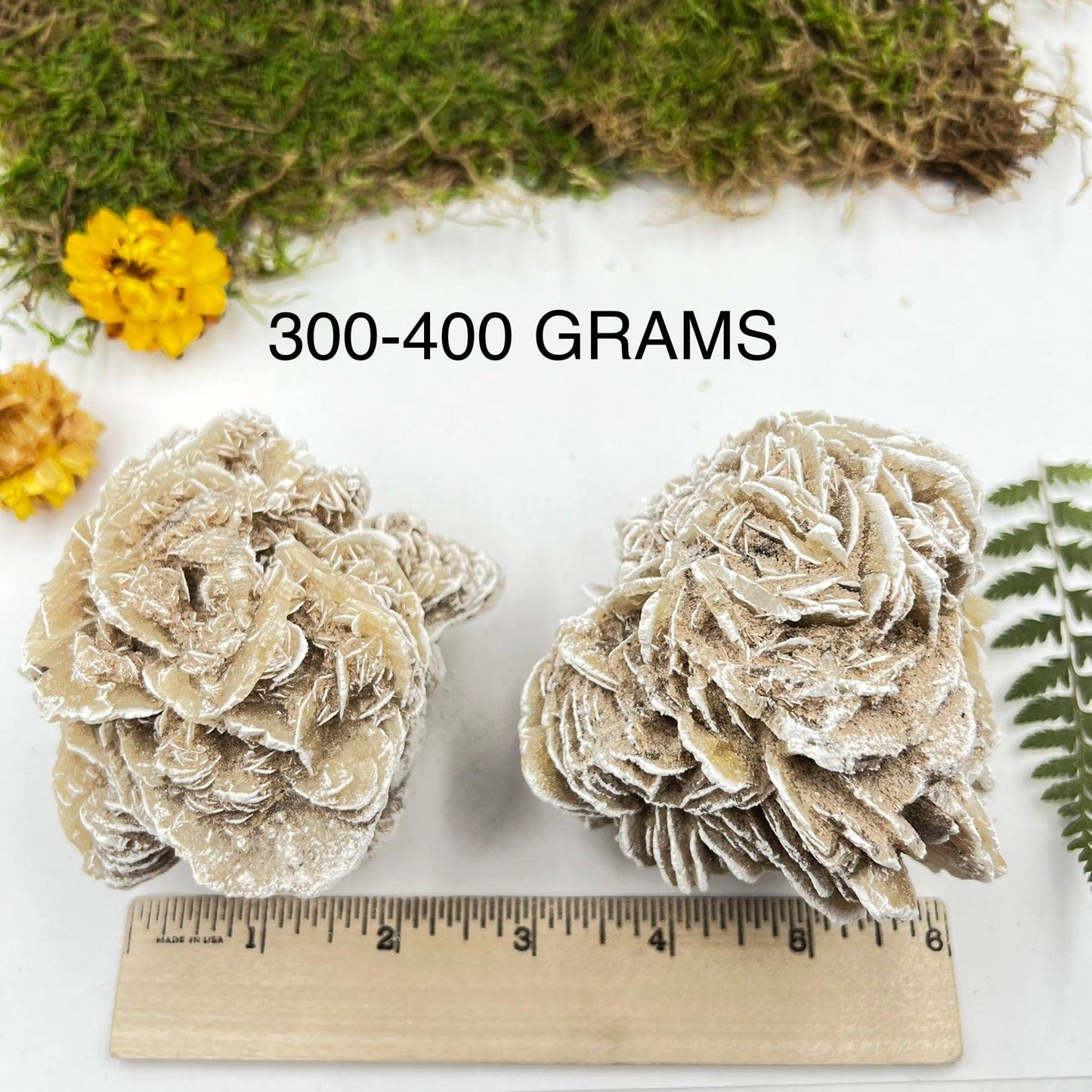 Gypsum Desert Rose