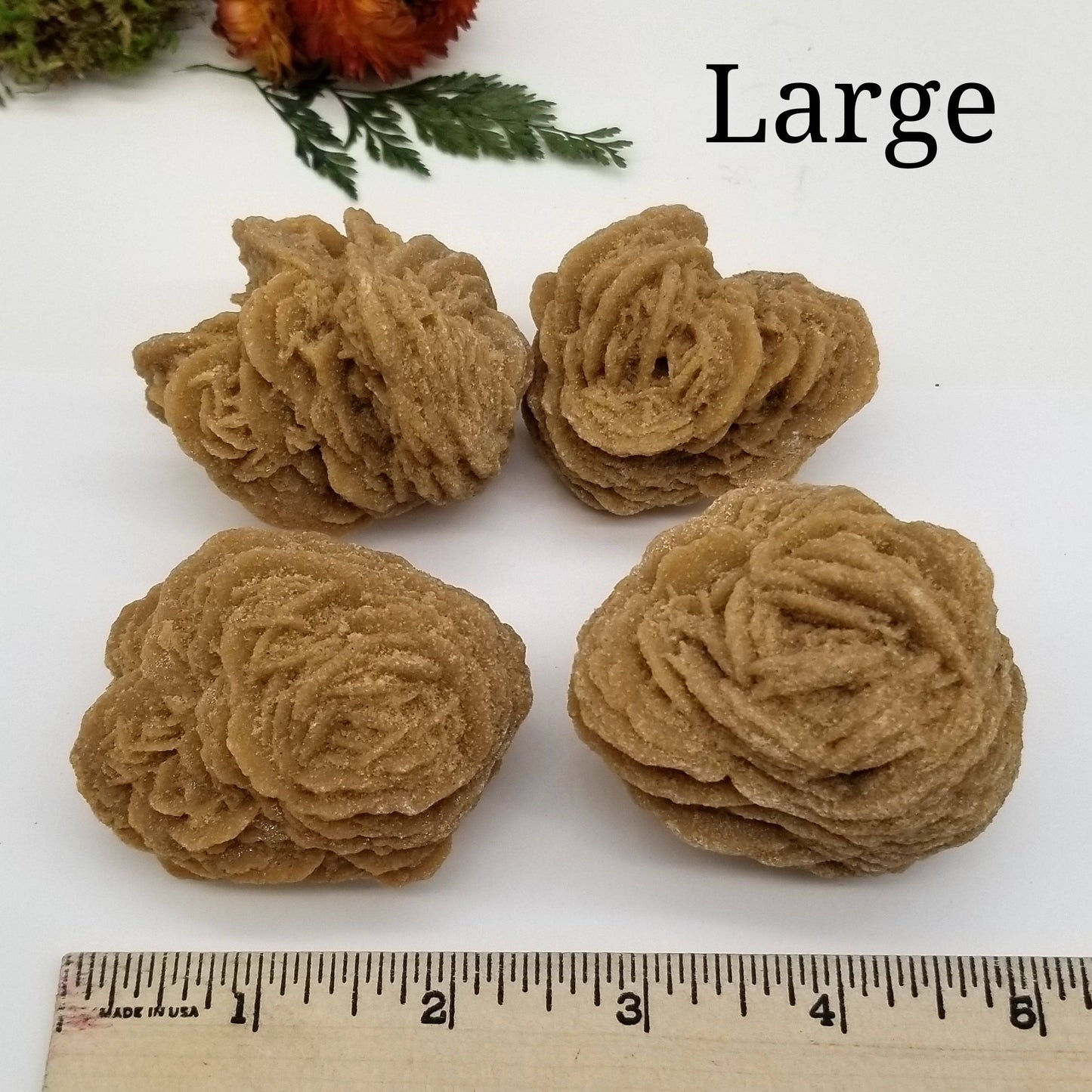 Barite Desert Rose