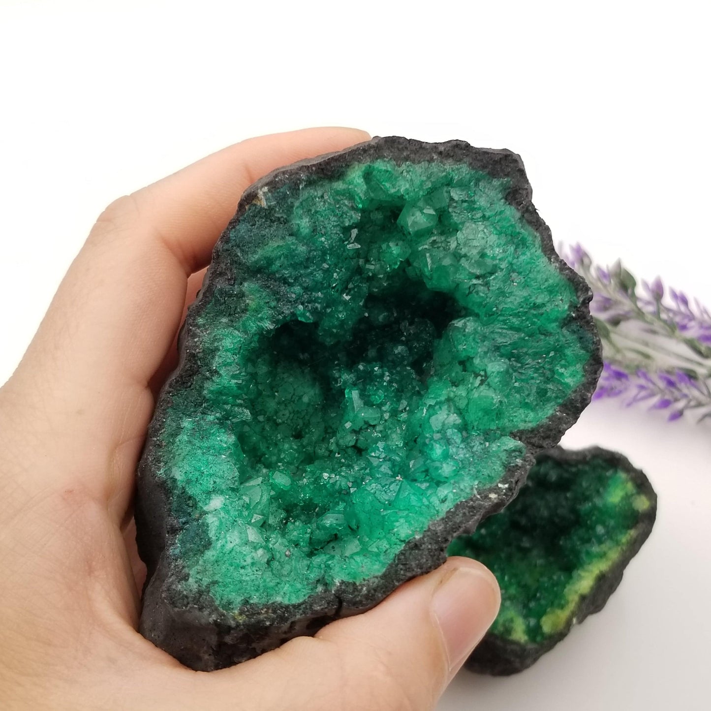 Green Quartz Geode (Dyed)