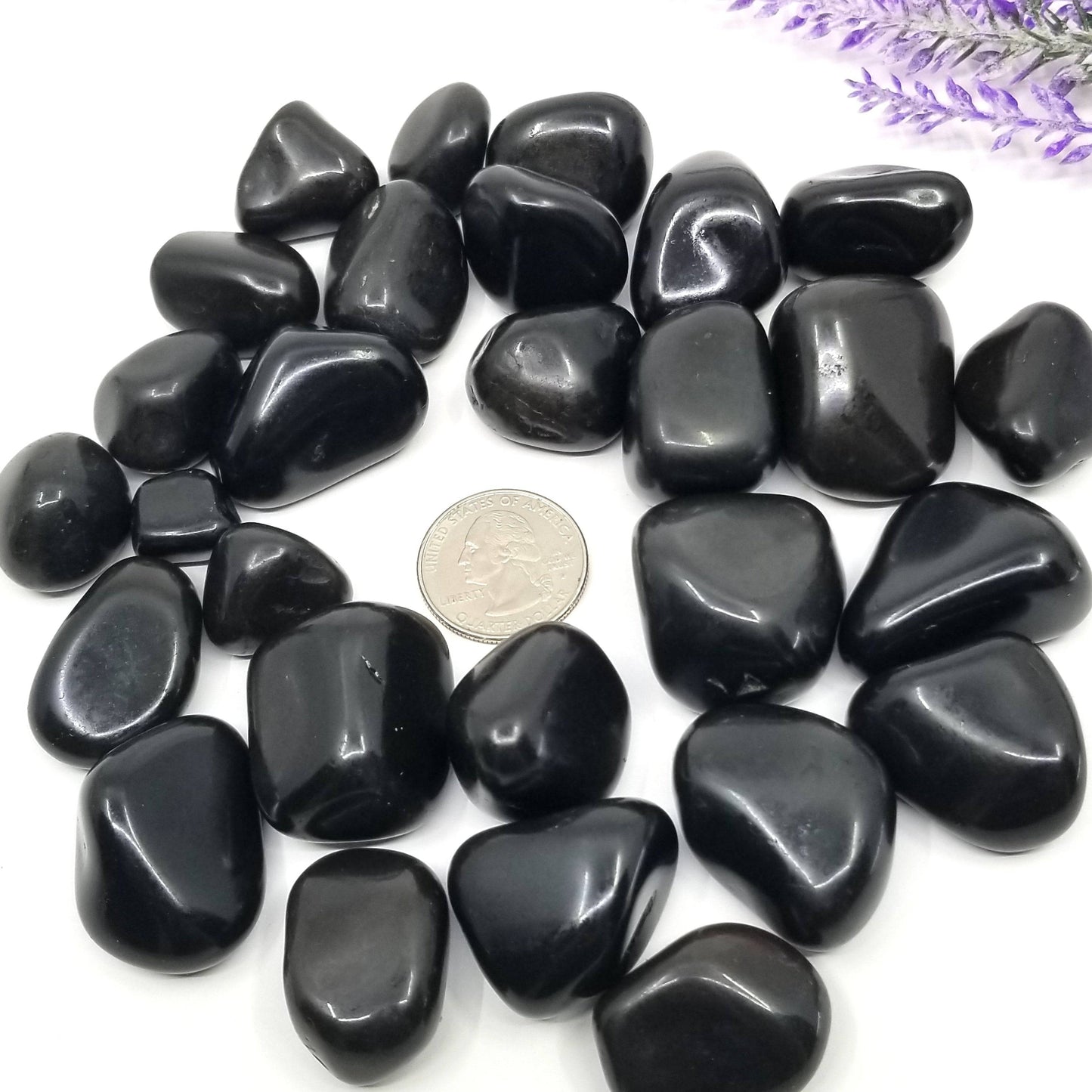 Black Tourmaline Tumbled Stones 1 LB
