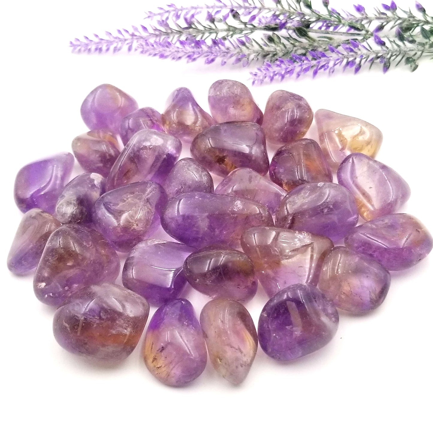 Ametrine Tumbled Stones 1 LB