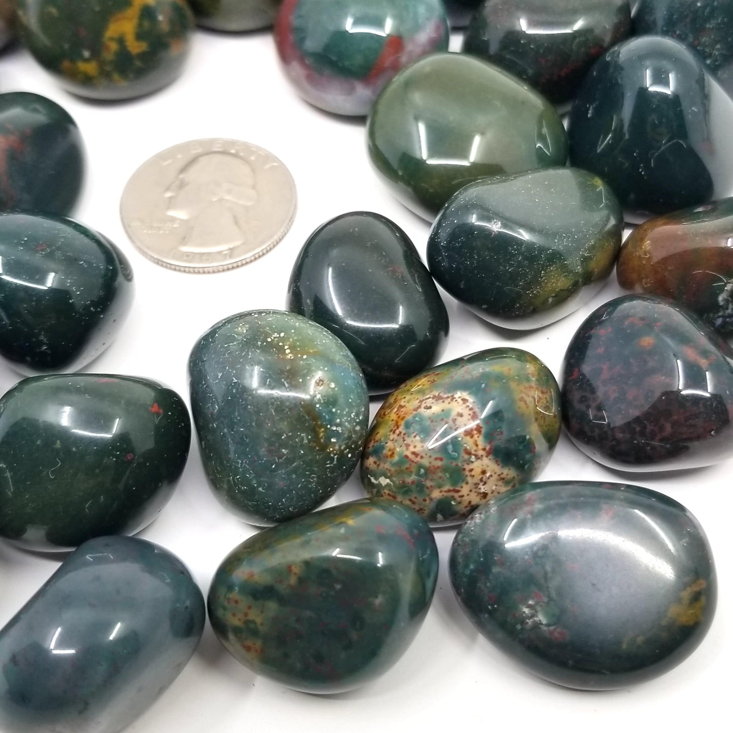 Bloodstone Tumbled Stones 1 LB - Funky Stuff
