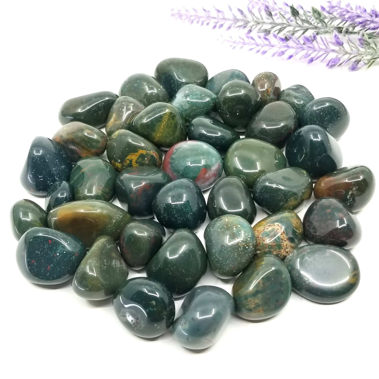 Bloodstone Tumbled Stones 1 LB - Funky Stuff