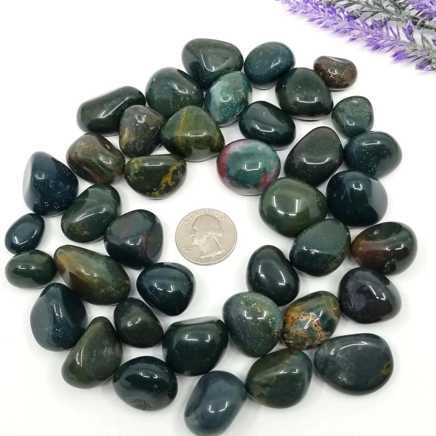 Bloodstone Tumbled Stones 1 LB - Funky Stuff