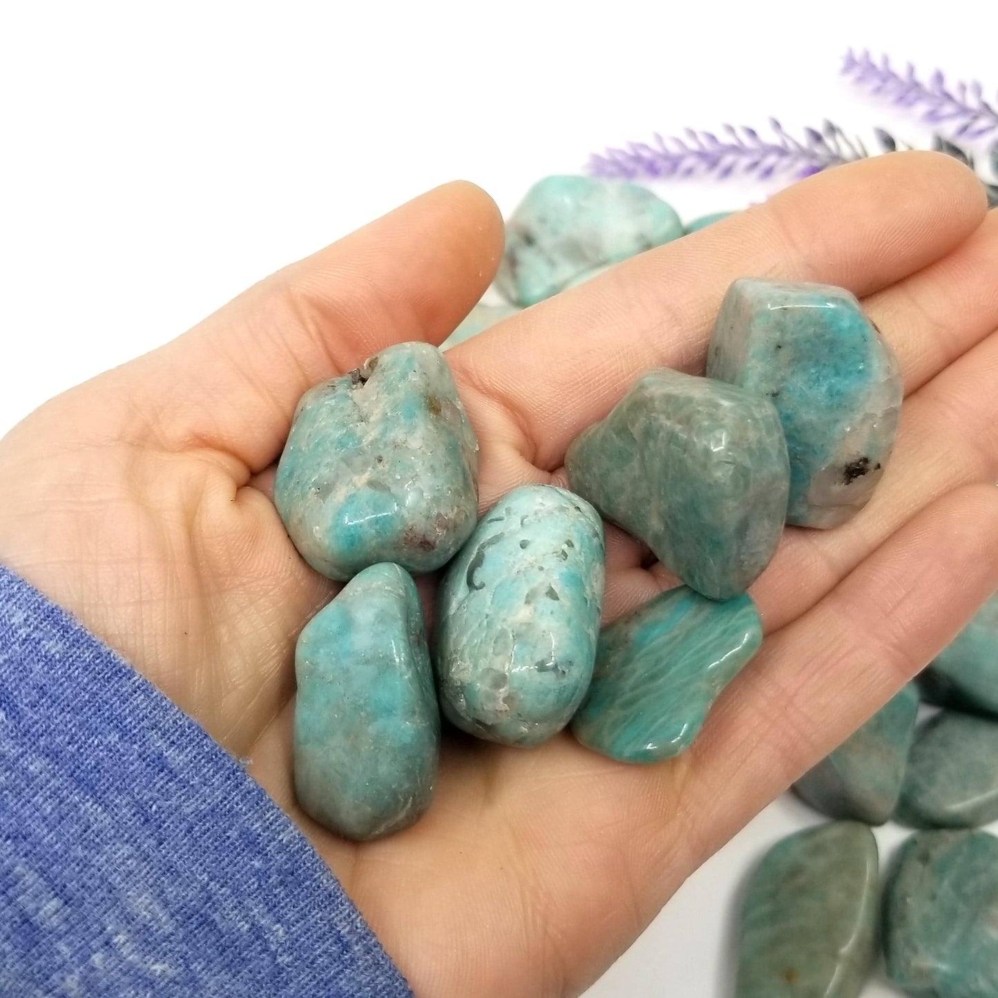 Amazonite Tumbled Stones 1 LB
