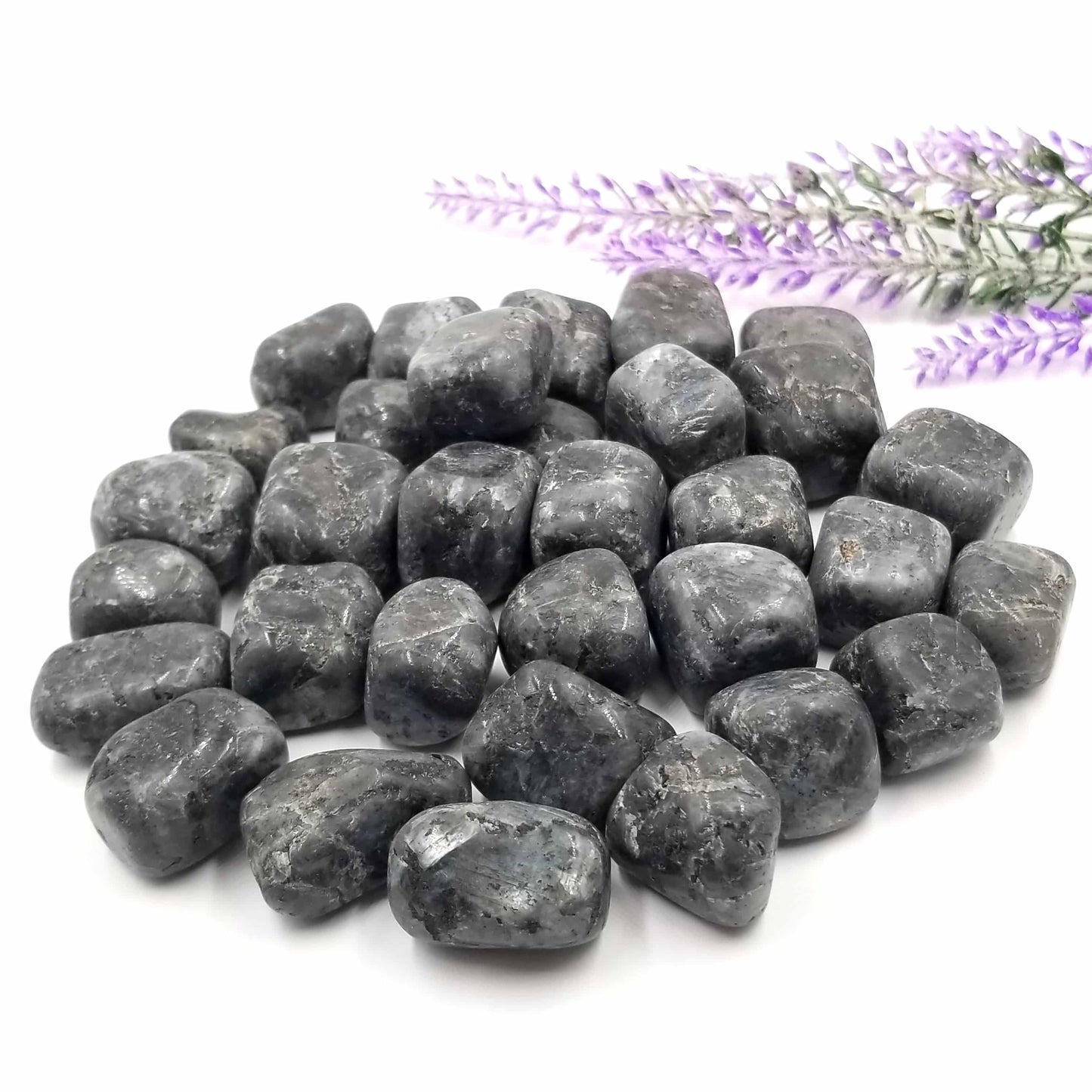 Larvikite Tumbled Stones 1 LB