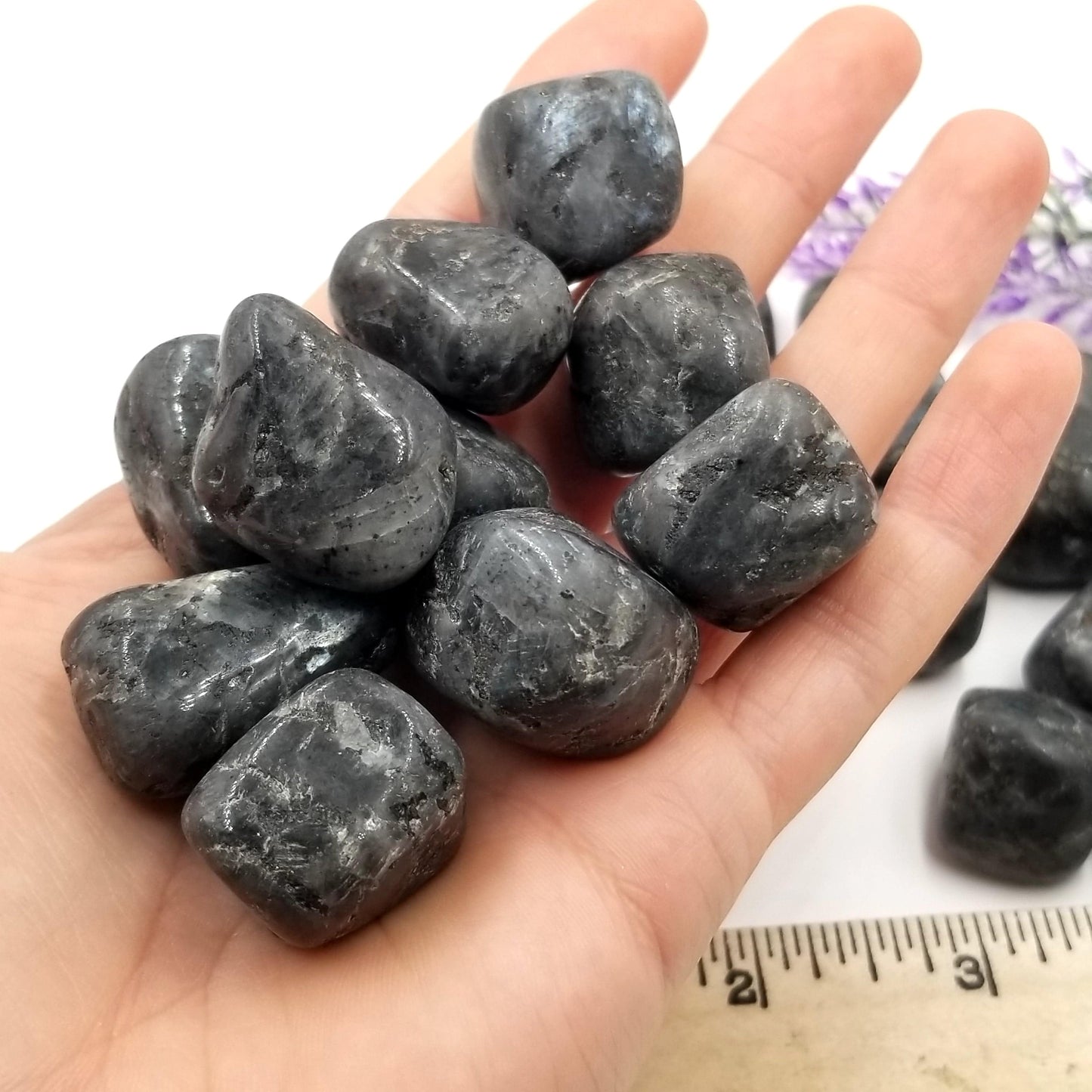 Larvikite Tumbled Stones 1 LB