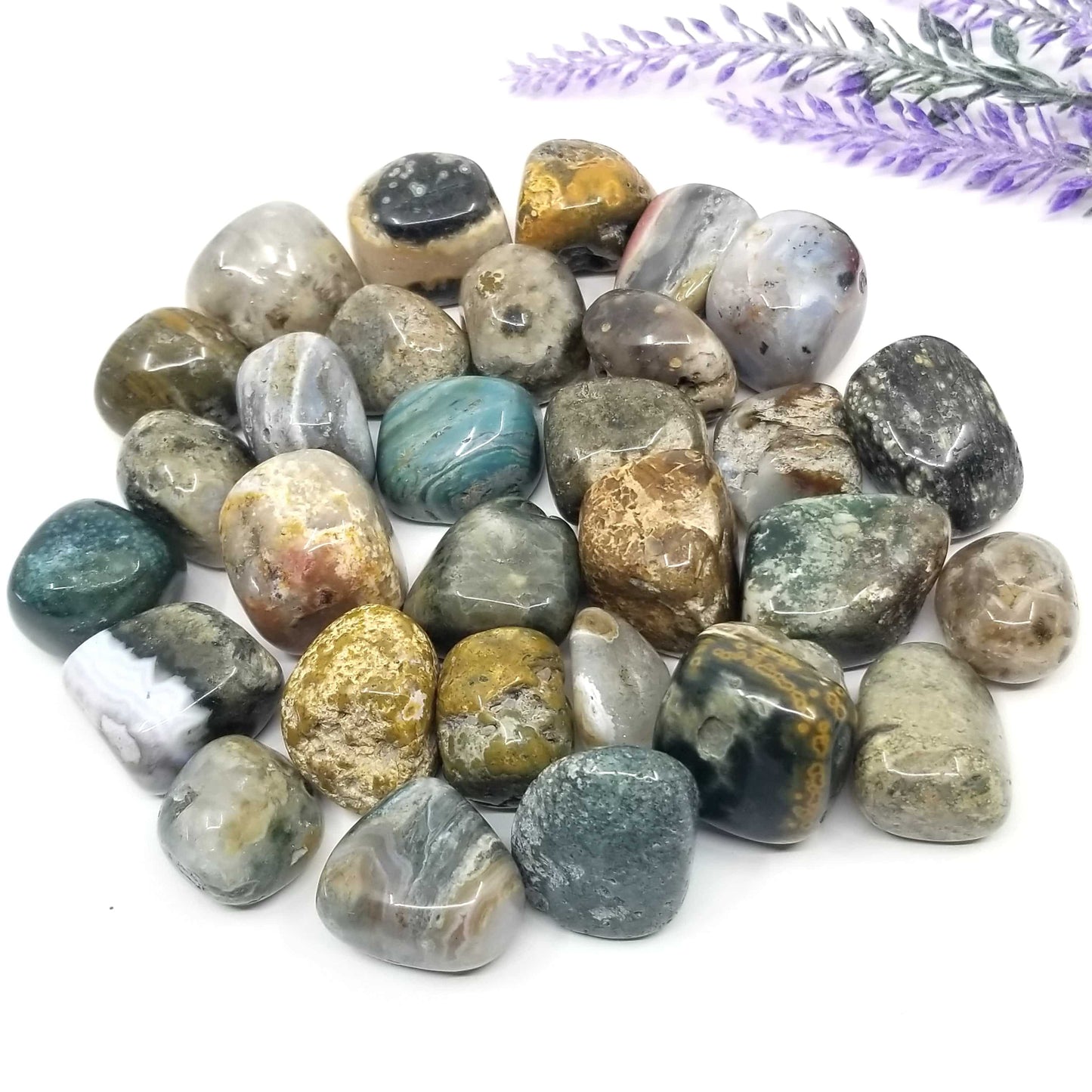 Ocean Jasper Tumbled Stones 1 LB