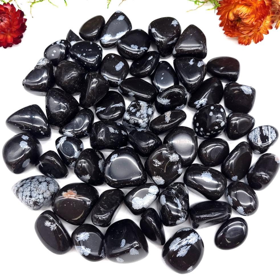 Snowflake Obsidian Tumbled Stone 1 LB