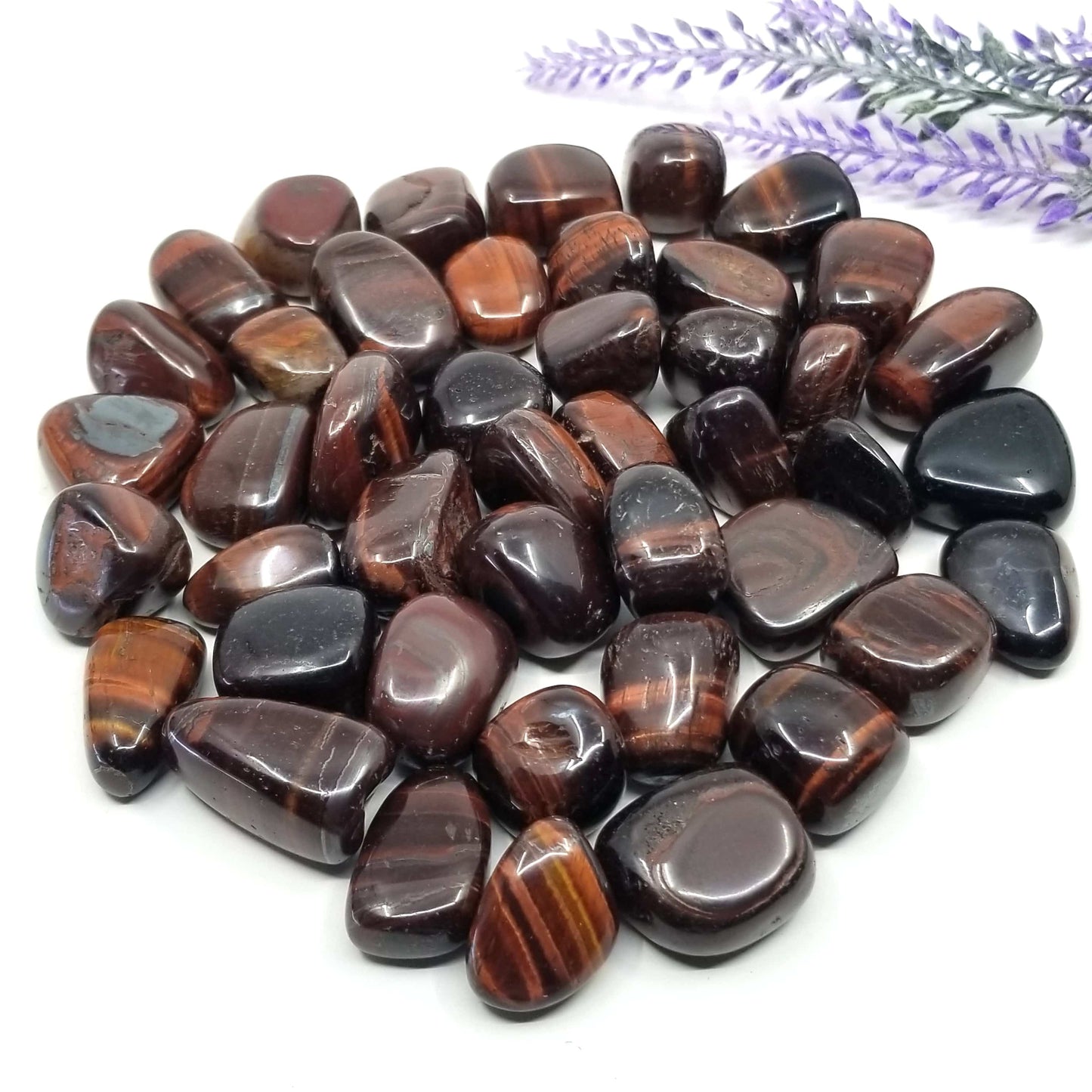 Tiger Iron (Red Tiger's Eye) Tumbled Stones 1 LB