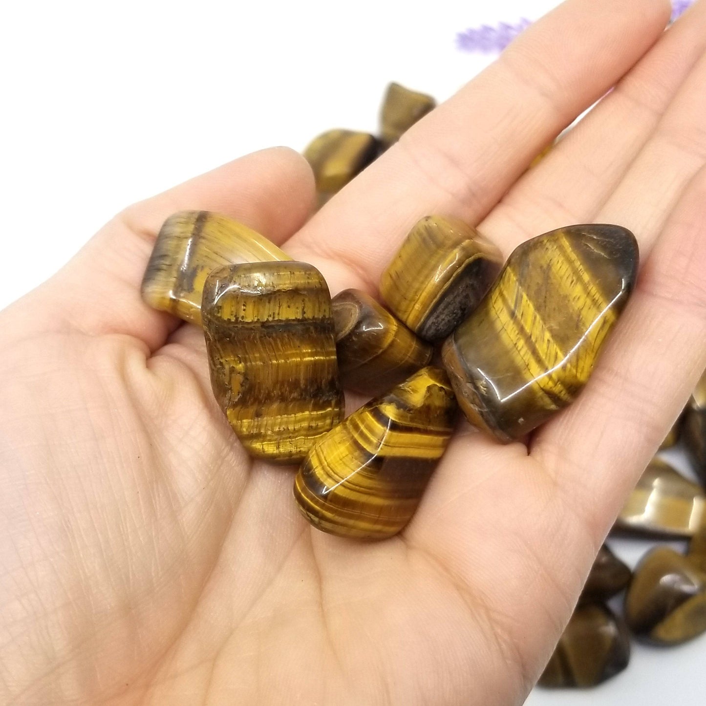Tiger's Eye Tumbled Stones 1 LB