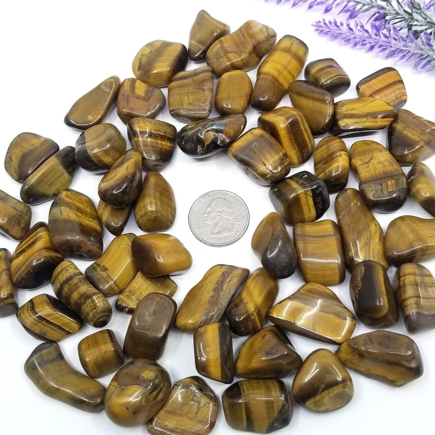 Tiger's Eye Tumbled Stones 1 LB