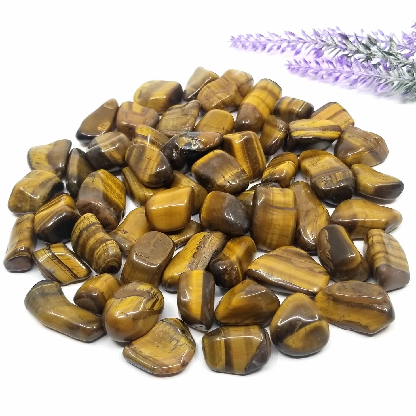 Tiger's Eye Tumbled Stones 1 LB