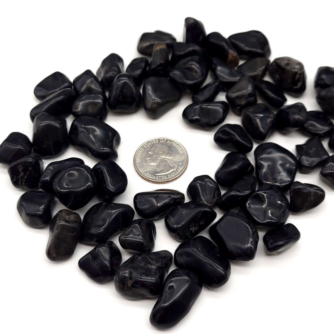 Black Onyx Tumbled Stone - Funky Stuff