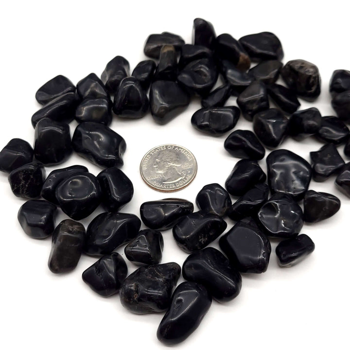 Black Onyx Tumbled Stone - Funky Stuff