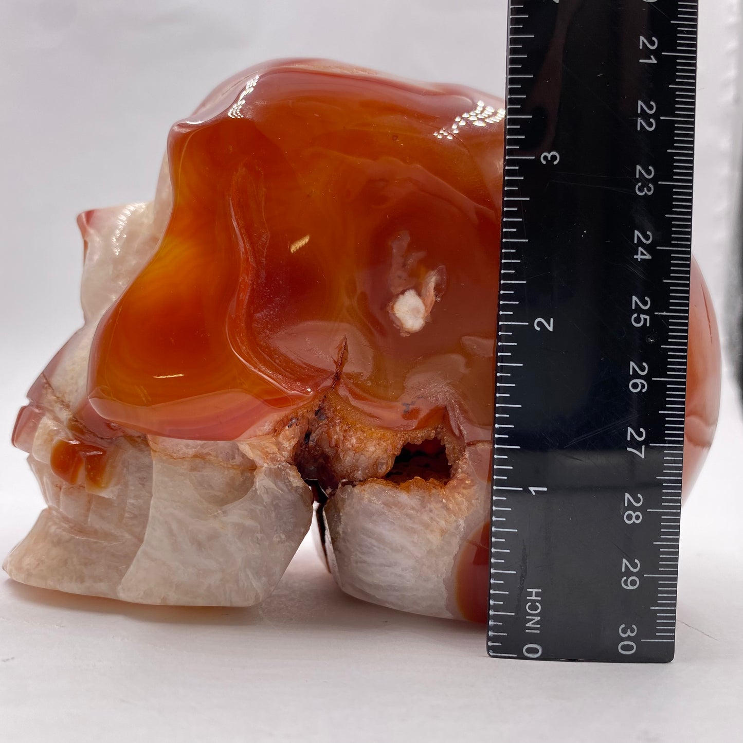 Carnelian Skull - Funky Stuff